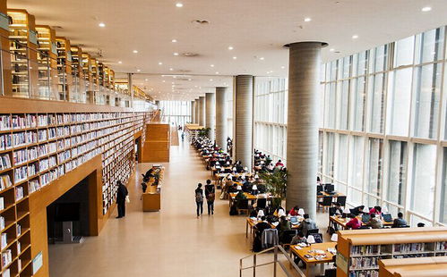 更上一層樓，圣博盾正式全面開啟現代化工廠生產與辦公網站建設