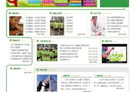 沈陽網(wǎng)站建設(shè)與設(shè)計 打造專業(yè)在線形象，驅(qū)動企業(yè)數(shù)字增長